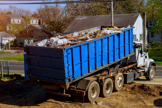 Best Shed Removal  in Clemson, SC